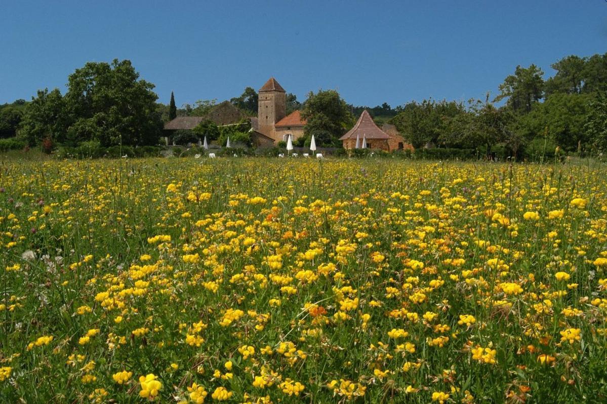 Gites Du Boussagou Marminiac ภายนอก รูปภาพ